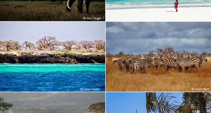 Ultimate bush and beach combo safari - Africa Geographic