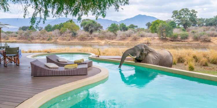 Best luxury African safari lodges for families - The Points Guy